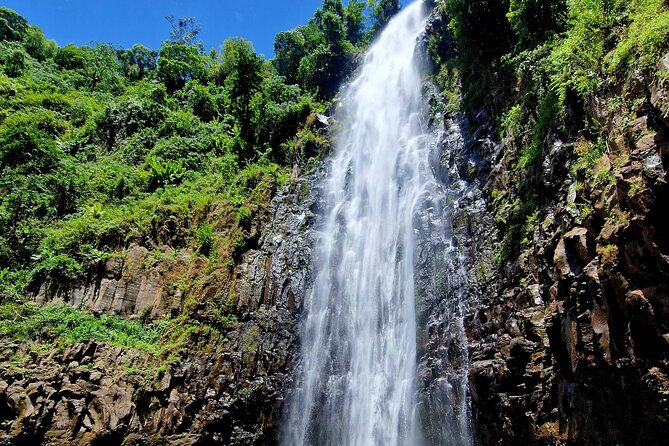 Waterfall, coffee tour & hot springs - lunch and drinks included - Stop 3: Kikuletwa Hot Springs (Catching the Warm-Water Reset)