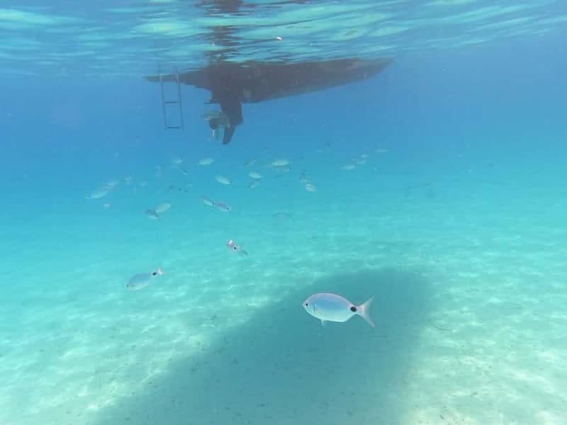 Zadar: Private SpeedBoat Tour to Islands - Drinks Included - Ošljak: Visiting Croatia’s Smallest Inhabited Island